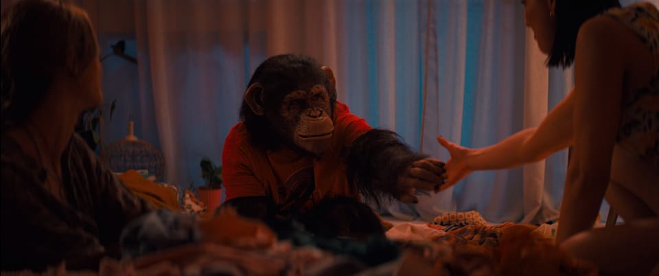 How do I write this genre?